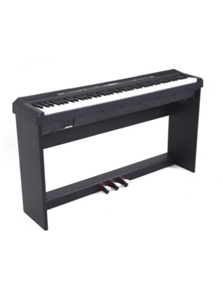 ECHORD Supporto WS-10B