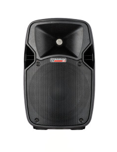 Audio Design Diffusore con lettore USB e BT - 10" 250 mm...