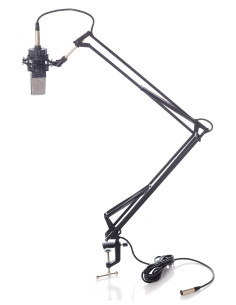 BESPECO MSRA10 SUPPORTO A BRACCIO DA STUDIO