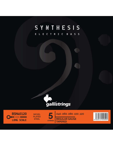 GALLI BSN40120 5 STRINGS REGULAR - TAPERED Synthesis