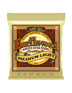 ERNIE BALL 2003 EARTHWOOD 80/20 BRONZE MEDIUM LIGHT 12-54