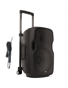 GEMINI AS10 TOGO DIFFUSORE PORTATILE AMPLIFICATO...