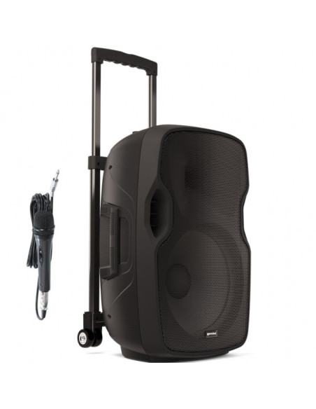 GEMINI AS10 TOGO DIFFUSORE PORTATILE AMPLIFICATO ALIMENTAZIONE A CORRENTE E A BATTERIA CON TROLLEY - 2 VIE