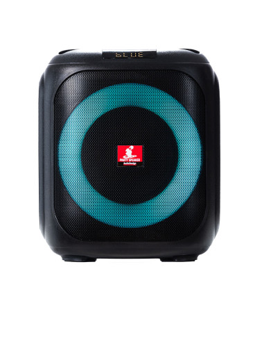 AUDIODESIGN DJ 107