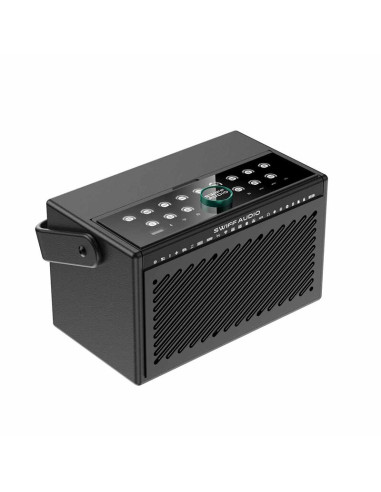 SWIFF AUDIO S100 AMP