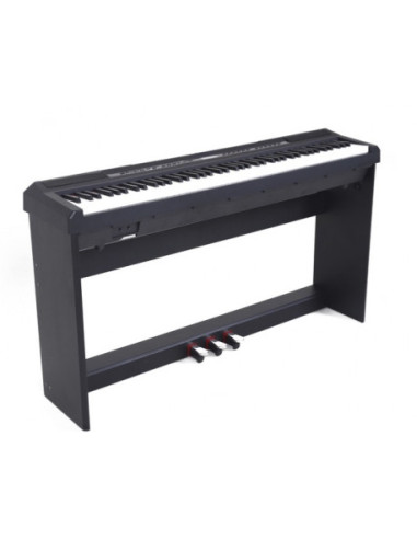 ECHORD Supporto WS-10B